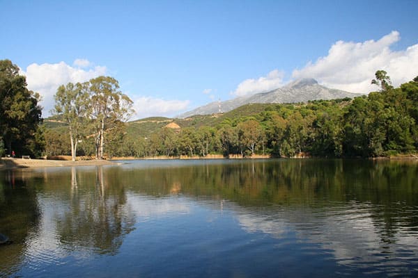 Taxi Málaga Marbella: Turtle Lake