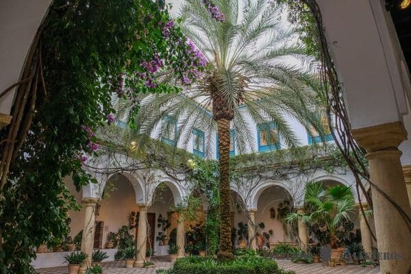 Palacio de Viana - Córdoba - Taximalaga.net