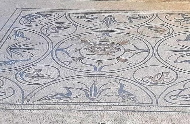 Roman Villa - San Pedro de Alcántara - Taximalaga.net